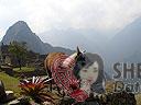 Machu-Picchu-008